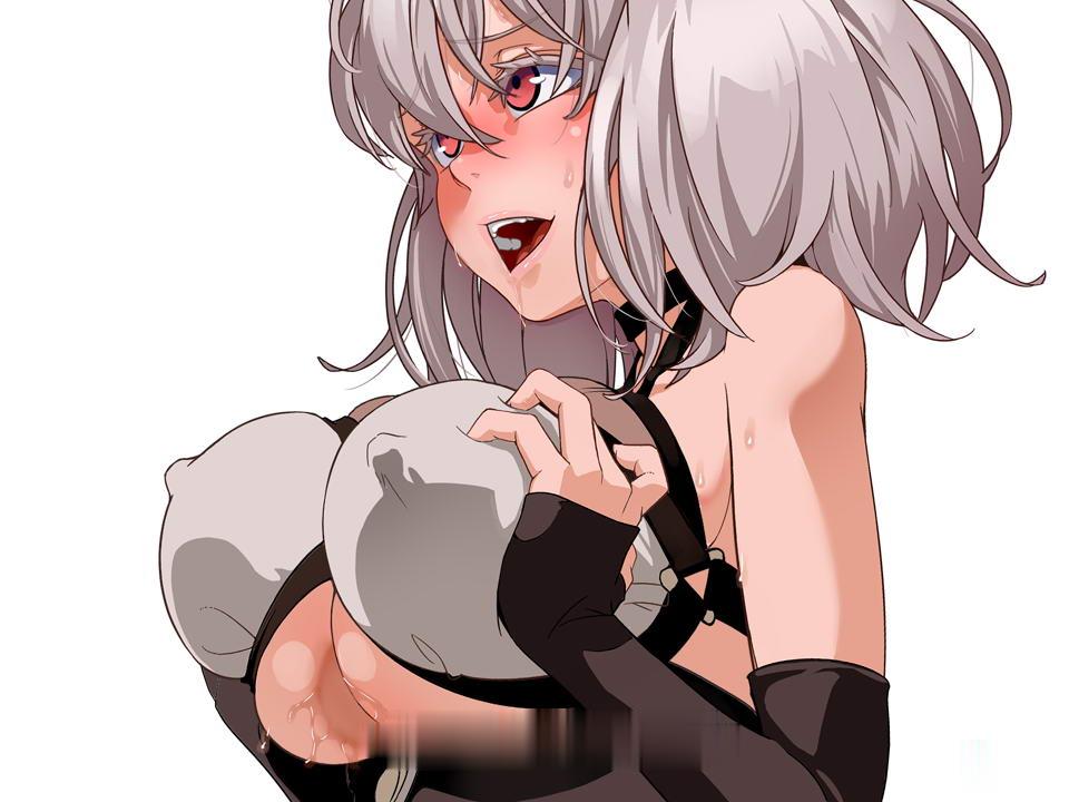 【RPG/中文/步兵】尼夫海姆的猎人：阿瑟尔的烙印！官方中文+DLC+全动画+CG+攻略【1G】 动漫动画 预览第1张