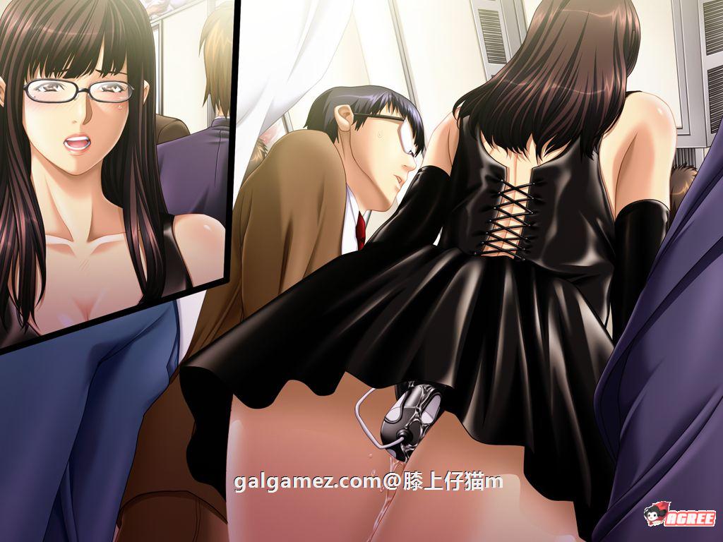 【超精美ADV/汉化/动态】被儿子朋友玩弄的美艳母亲+存档+CG包+动画汉化步兵版【1.5G】 动漫动画 预览第5张