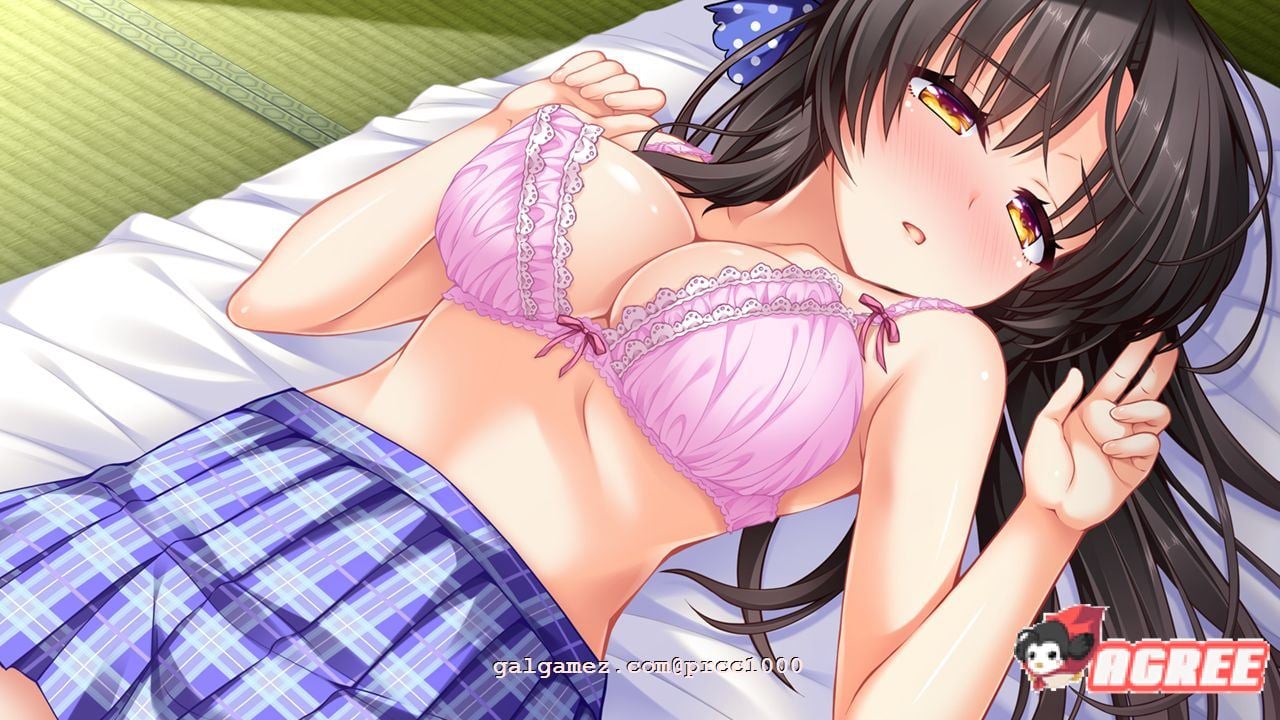 【拔作ADV/汉化】私奔-カケオチ 汉化硬盘版/付存档【1G】 畅玩游戏 预览第4张