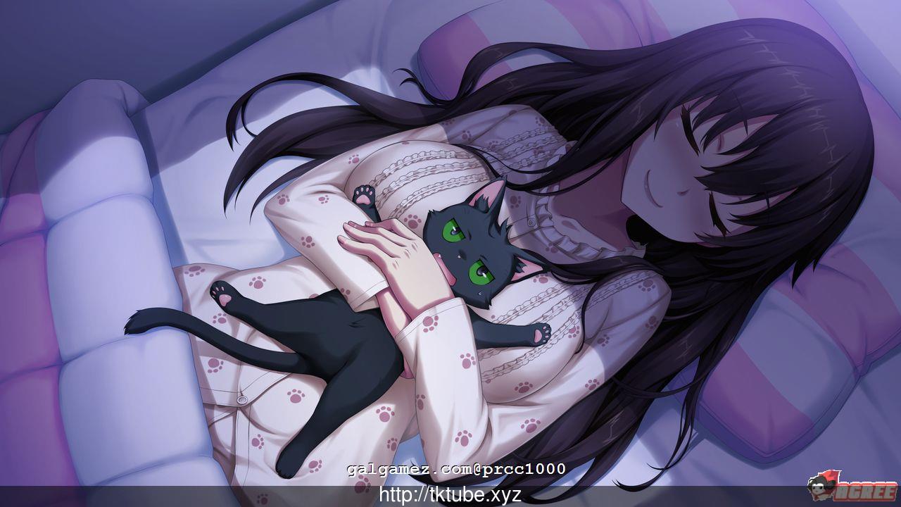 【大型ADV/中文/三版本】野良与皇女与流浪猫之心 全版本整合汉化【6G】【全CV/更新】 畅玩游戏 预览第4张