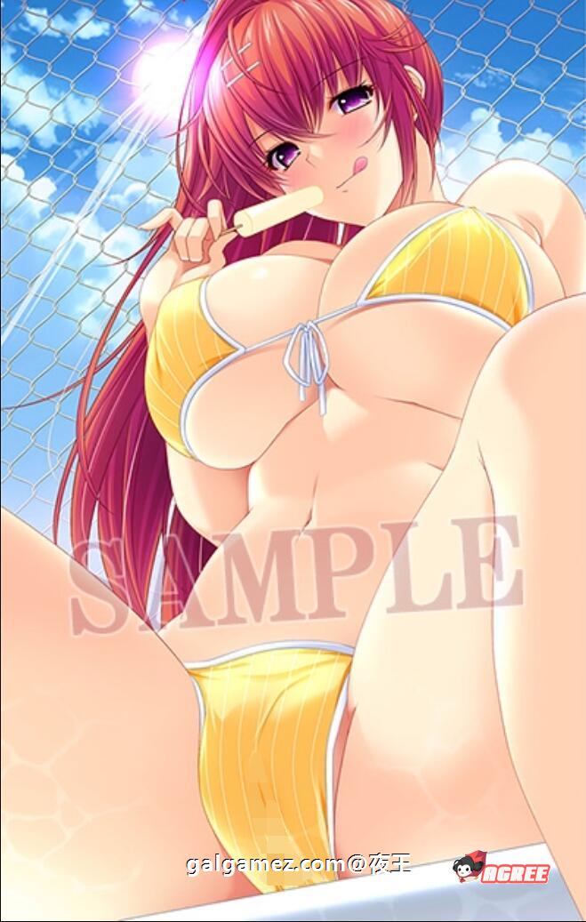 【顶级拔作/精翻/动态CV】姐姐×SHUFFLE~和朋友姐姐们的淫乱生活 精翻硬盘版【新汉化/6G】 畅玩游戏 预览第2张