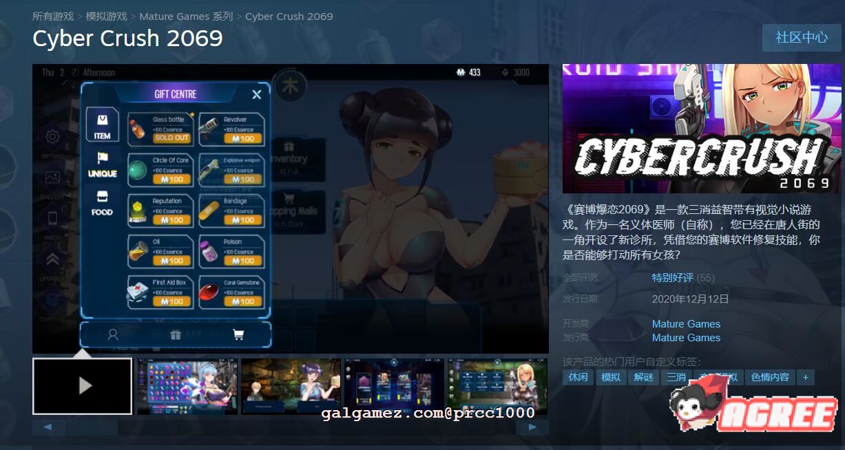 【SLG/中文/全动态】赛博爆恋2069 官方中文步兵版[真.H版赛博朋克同人作品]【1.1G/新作/CV】 畅玩游戏 预览第3张