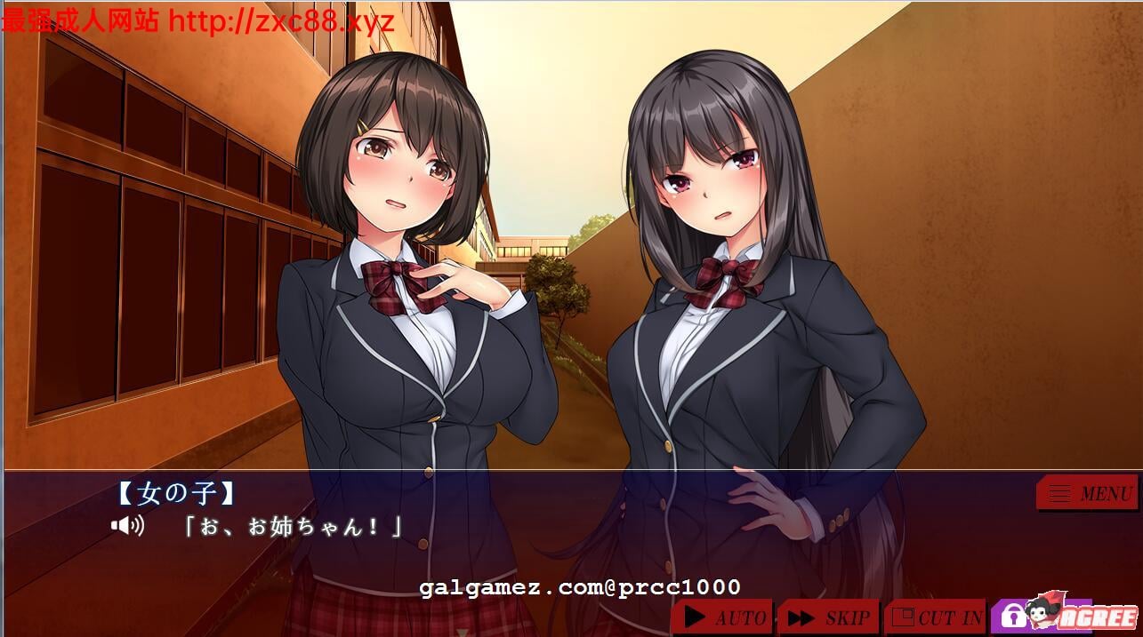 【HAG/全动态/付提取】胁迫优等生姐妹~不良集团种付恶堕/付全提取【4G】【新作/全CV】 畅玩游戏 预览第2张