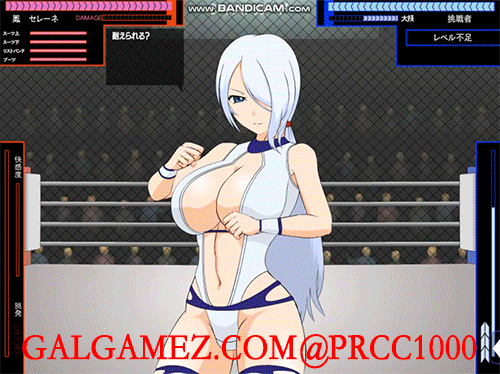 【ACT/SLG/汉化/合集】[jsk工房]迄今为止所有汉化游戏合集【全步兵/PC/安卓/5G/2020年11月】 畅玩游戏 预览第5张