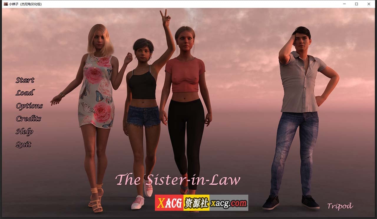 【欧美SLG/汉化/动态】小姨子 V0.04.05a 汉化版【PC+安卓/2.2G】 畅玩游戏 预览第1张