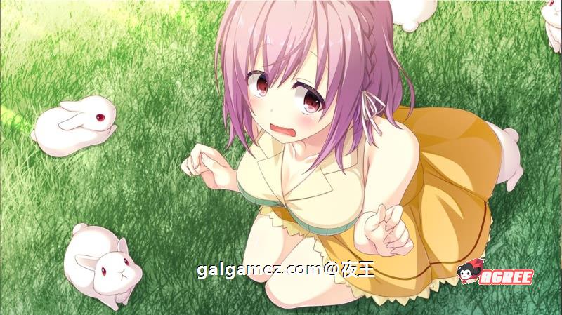 【大型后宫ADV/全CV】E学园生活 精翻汉化硬盘版+全CG存档+攻略【4.5G】 畅玩游戏 预览第11张