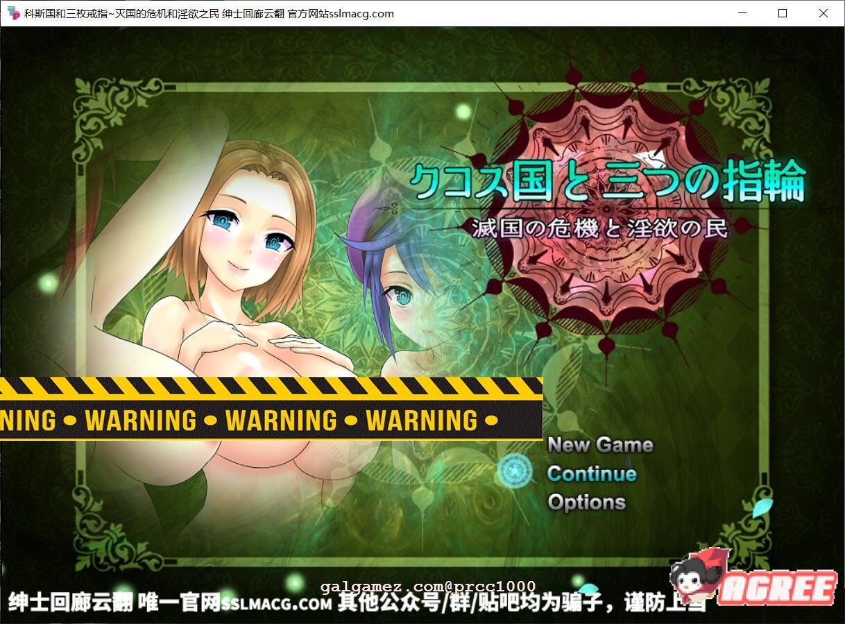 【大型RPG/汉化】科斯国和三枚戒指~灭国的危机和银狱之民 云汉化【2.8G/全CV/新汉化】 畅玩游戏 预览第1张