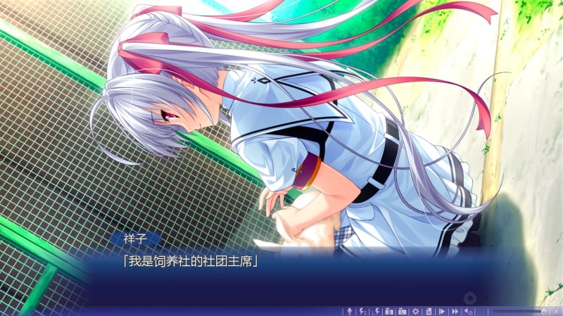 【大型ADV/中文/动态】追忆夏色年华 官方中文硬盘破解版/社保补丁【5G】【新作/全CV】 畅玩游戏 预览第8张