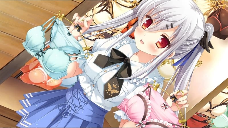 【汉化/后宫/巨乳】[HULOTTE] 新娘太好找了我很方！+存档【PC+安卓模拟器/4G】 畅玩游戏 预览第12张