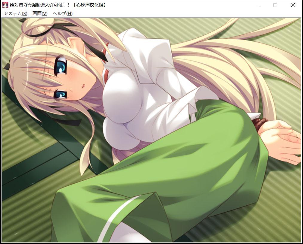 【ADV/汉化/动态】绝对遵守☆强制造人许可证 完整汉化版 +攻略+全CG存档【3.3G】 畅玩游戏 预览第13张