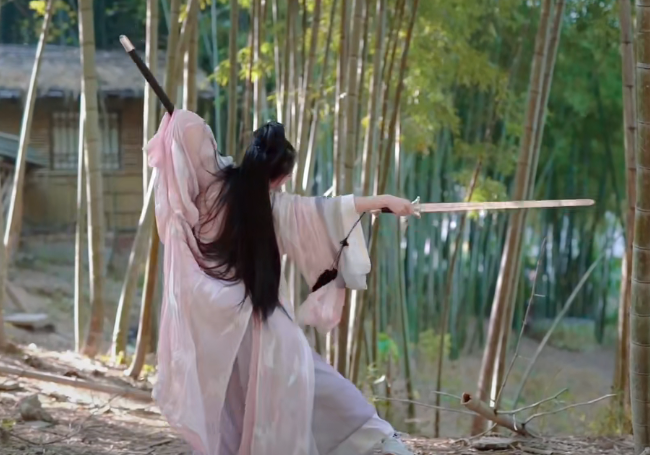 【武侠SLG/中文/动态】侠女逍遥录 Ver0.396 官方中文版【新作/神奇HTML/1.6G】 畅玩游戏 预览第8张