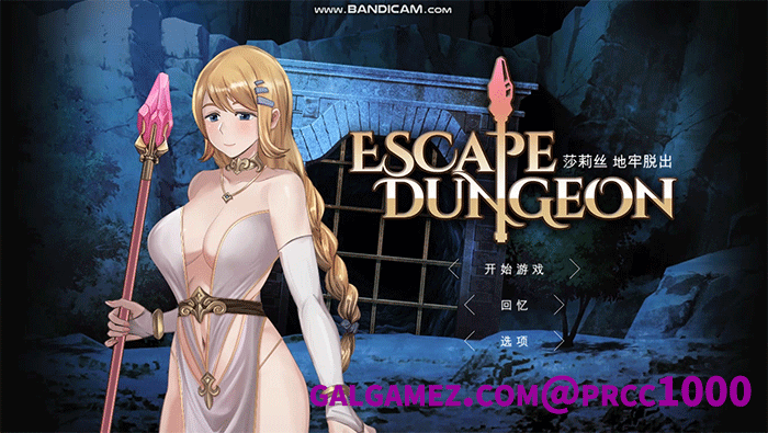 【地牢策略RPG/中文/步兵】莎莉丝-地牢脱出 官方中文步兵版+存档 【780M/全CV/新作】 畅玩游戏 预览第2张