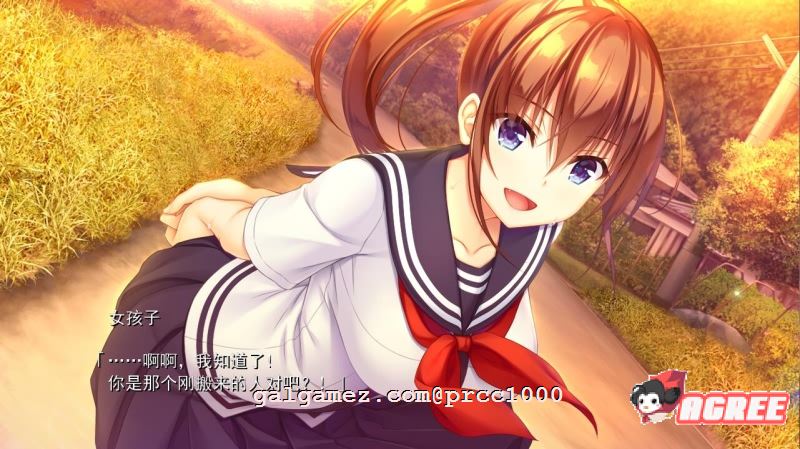 【大型ADV/汉化】纯真之夏 汉化硬盘版+全CG存档[水明学园汉化组]【2.4G/新汉化/全CV】 畅玩游戏 预览第9张