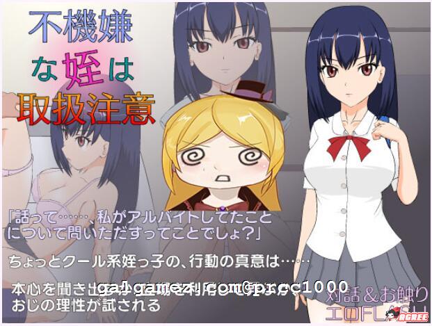 【ACT/SLG/汉化/合集】[jsk工房]迄今为止所有汉化游戏合集【全步兵/PC/安卓/5G/2020年11月】 畅玩游戏 预览第9张