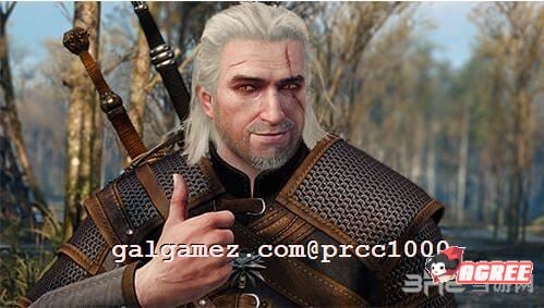 【3A大作/中文/魔改】巫师3：狂嫖 绅士邪恶魔改版[解压即玩小白福音]【55G/新魔改】 畅玩游戏 预览第4张