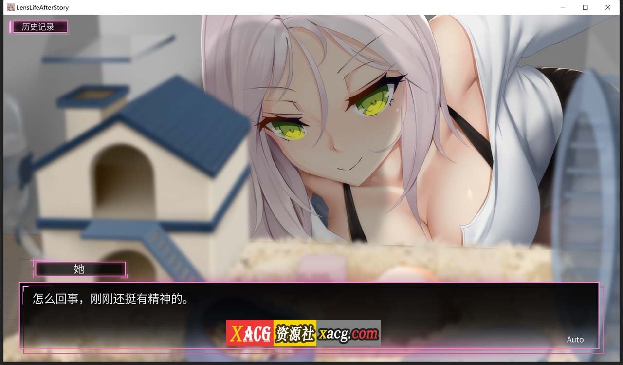 【神级SLG/中文/盗摄】我的镜头H人生2：AfterStory 官方中文版【新作/超美黑丝/2.6G】 畅玩游戏 预览第5张