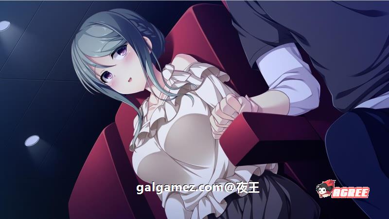 【大型后宫ADV/全CV】E学园生活 精翻汉化硬盘版+全CG存档+攻略【4.5G】 畅玩游戏 预览第13张